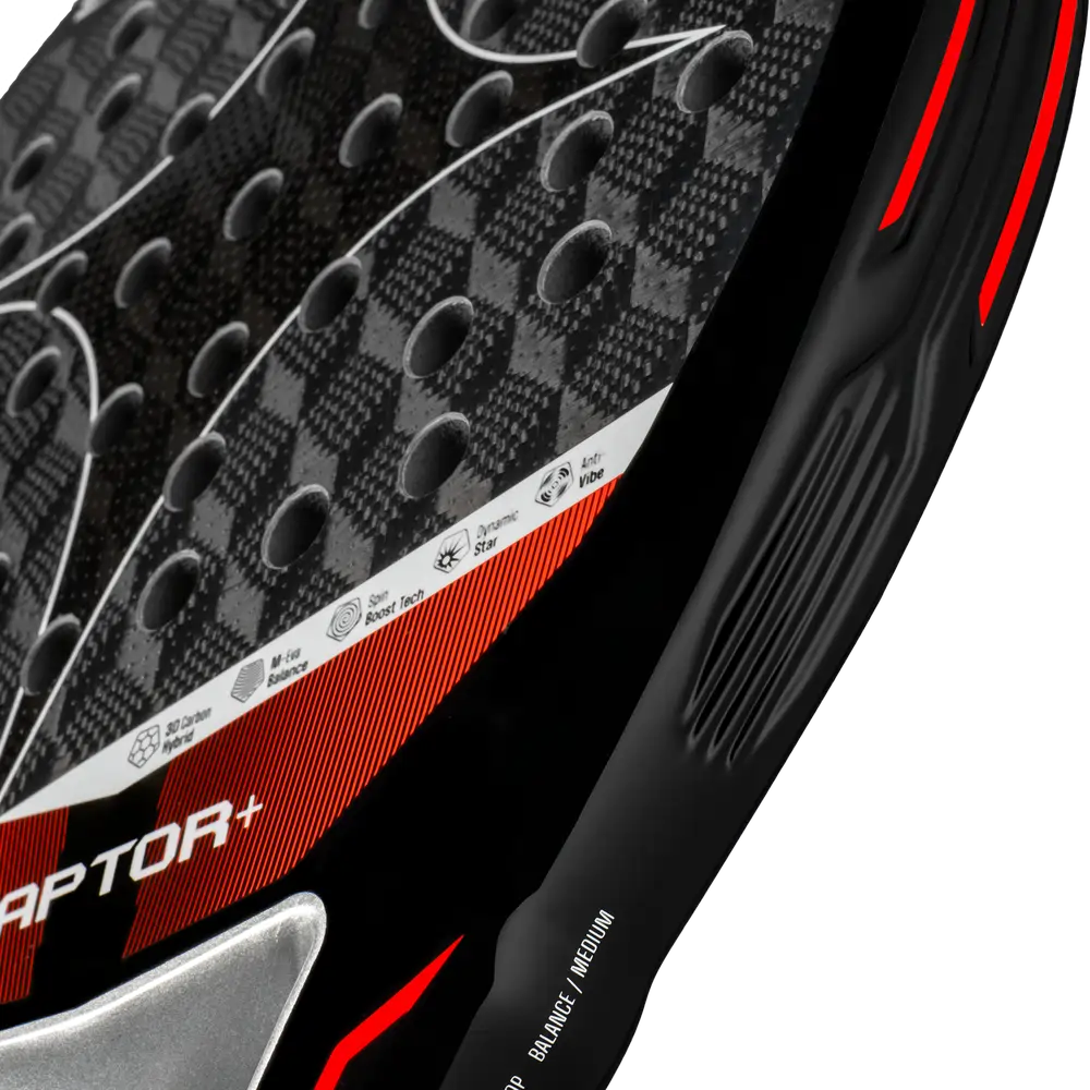 2026 Starvie Raptor +