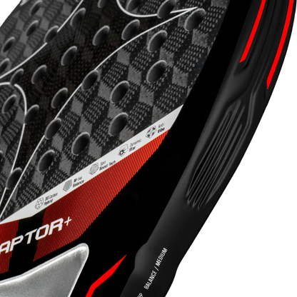 2026 Starvie Raptor +